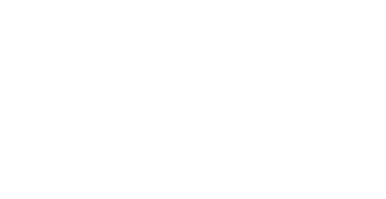 airlines-forwarder